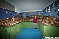VBS_6933 - Presepe Meccanico di Nonna Rosi 2025